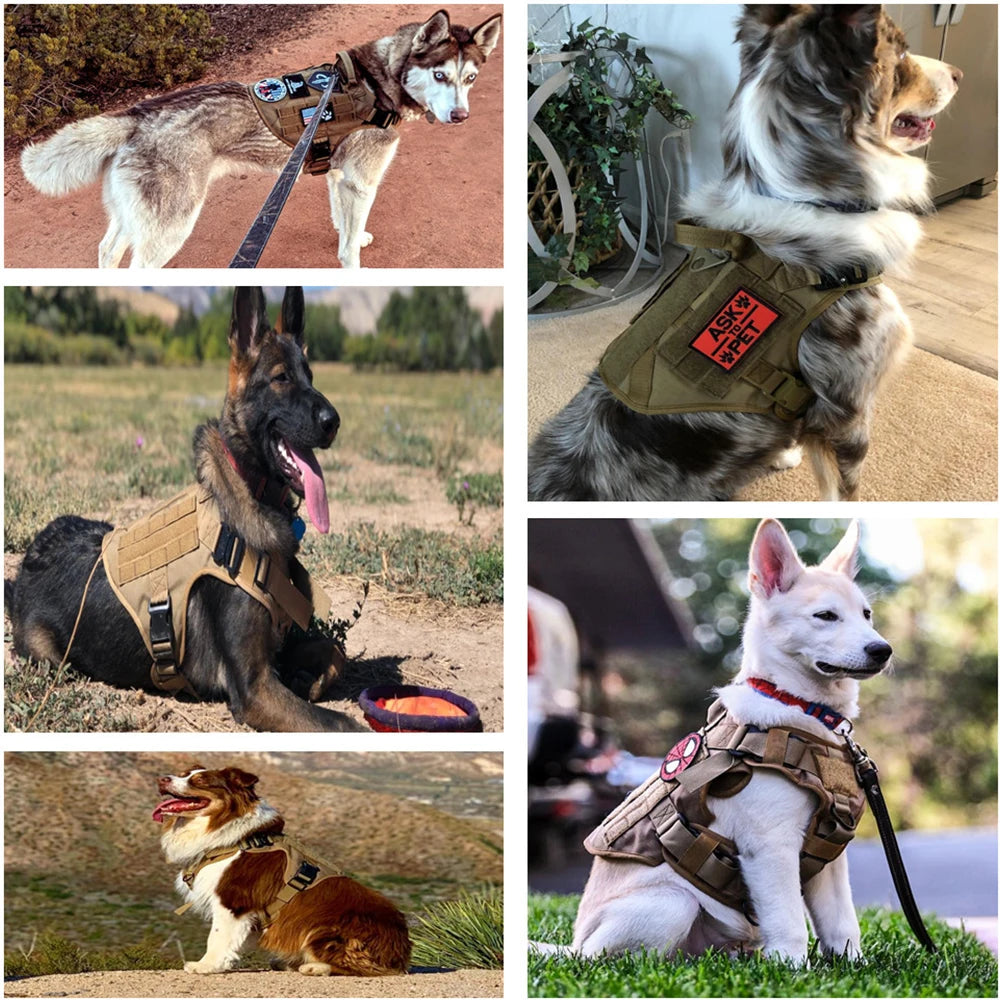 Tactical Large Dog Harness Set – K9 Training Vest for Medium & Large Breeds