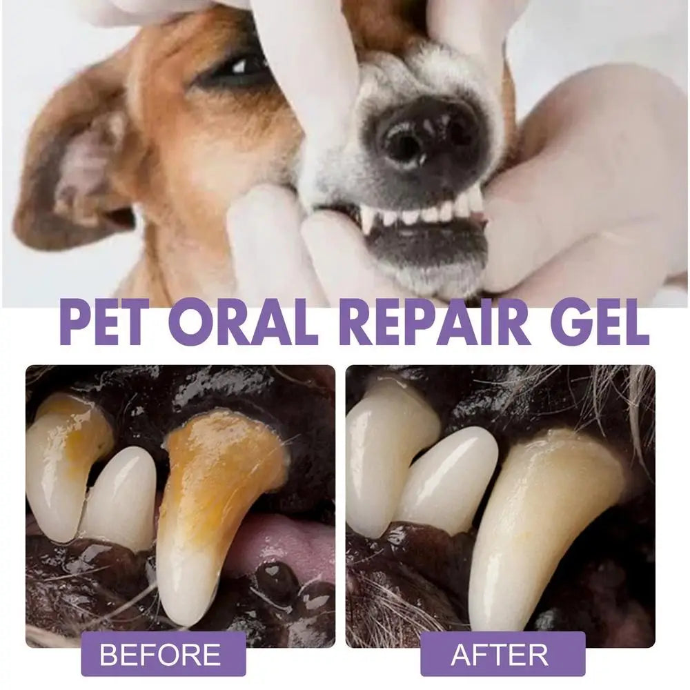 Dog & Cat Teeth Cleaning Gel – Pet Dental Care Solution