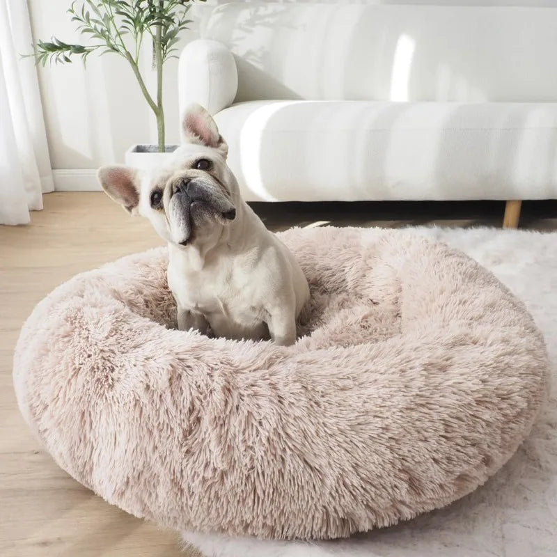 🐾 Premium Calming Donut Dog Bed – Cozy, Stylish & Pet-Safe!