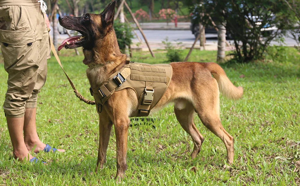 Tactical Large Dog Harness Set – K9 Training Vest for Medium & Large Breeds