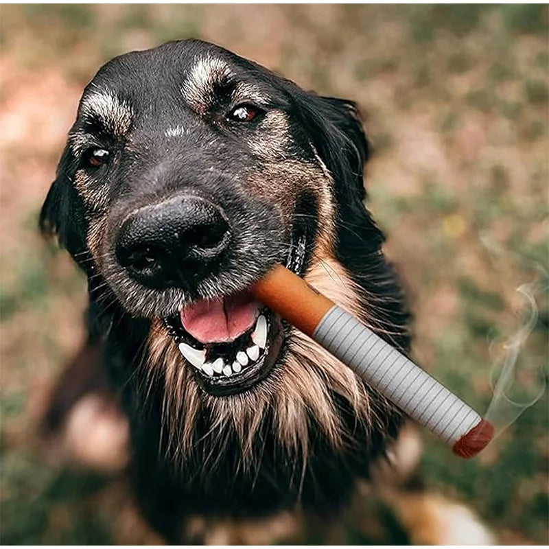 Funny Squeaky Cigar Dog Toy