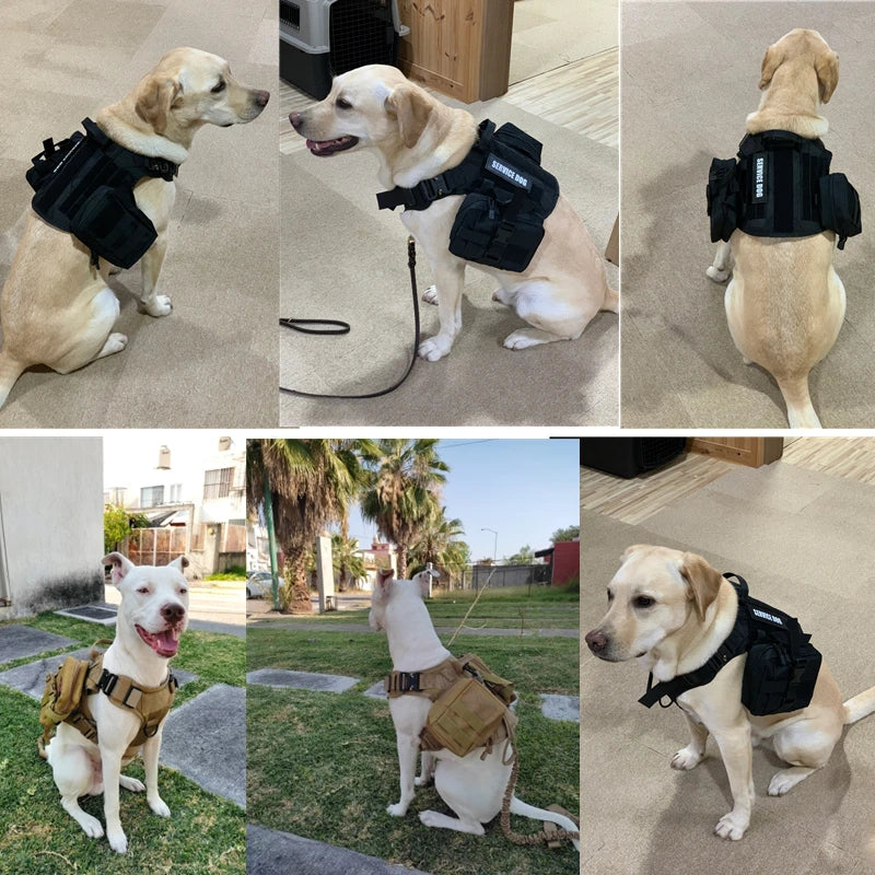 Tactical Dog Harness & Leash Set for All Breeds